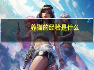 养猫的经验是什么