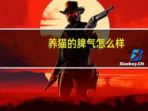 养猫的脾气怎么样