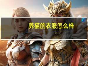 养猫的衣服怎么样
