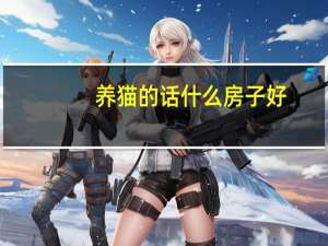 养猫的话什么房子好
