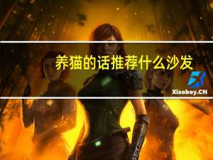养猫的话推荐什么沙发