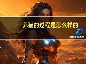 养猫的过程是怎么样的