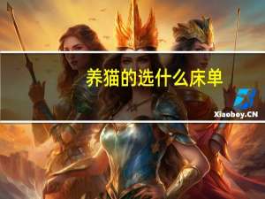 养猫的选什么床单