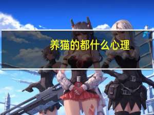 养猫的都什么心理