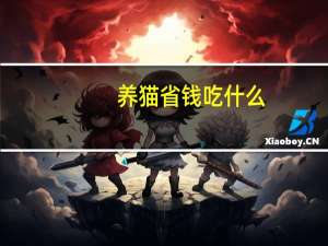 养猫省钱吃什么