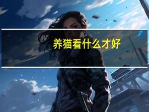 养猫看什么才好