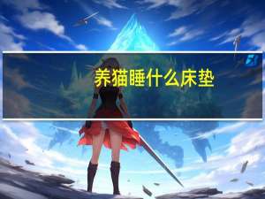 养猫睡什么床垫