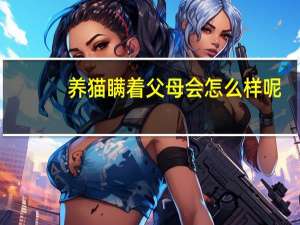 养猫瞒着父母会怎么样呢