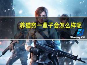 养猫穷一辈子会怎么样呢