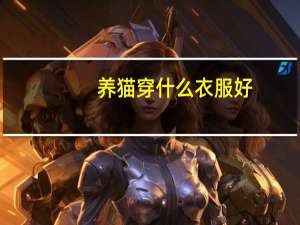养猫穿什么衣服好