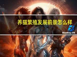 养猫繁殖发展前景怎么样