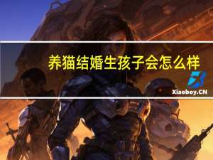 养猫结婚生孩子会怎么样