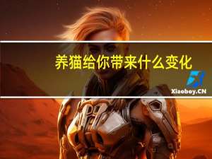 养猫给你带来什么变化