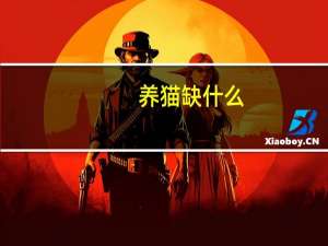 养猫缺什么