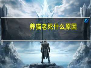 养猫老死什么原因