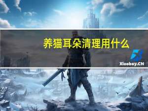 养猫耳朵清理用什么