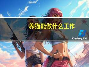 养猫能做什么工作