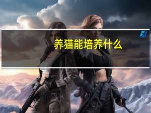 养猫能培养什么