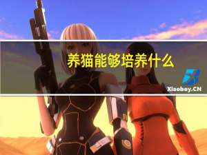 养猫能够培养什么