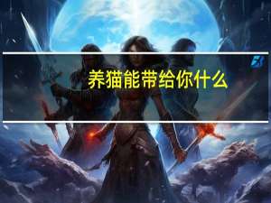 养猫能带给你什么