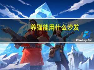 养猫能用什么沙发