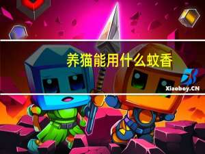 养猫能用什么蚊香