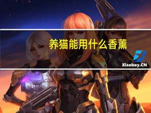 养猫能用什么香薰