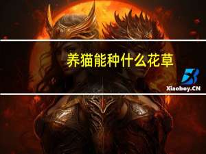 养猫能种什么花草