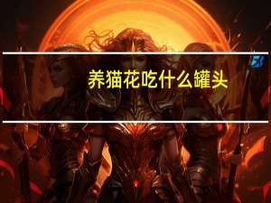 养猫花吃什么罐头