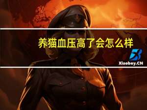 养猫血压高了会怎么样