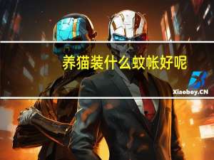 养猫装什么蚊帐好呢