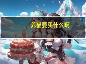 养猫要买什么啊