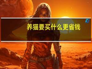 养猫要买什么更省钱