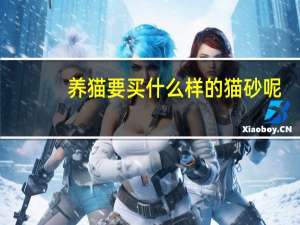 养猫要买什么样的猫砂呢