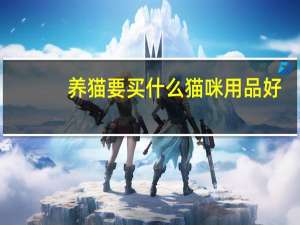 养猫要买什么猫咪用品好