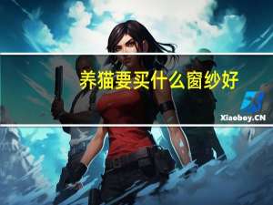 养猫要买什么窗纱好