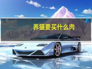 养猫要买什么肉