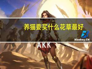 养猫要买什么花草最好