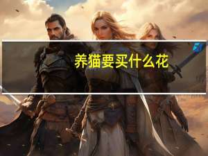 养猫要买什么花
