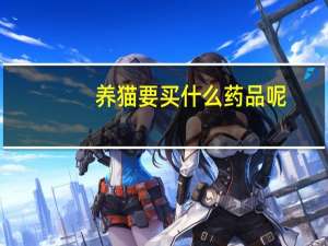 养猫要买什么药品呢