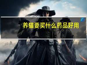 养猫要买什么药品好用