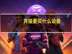 养猫要买什么设备