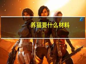 养猫要什么材料