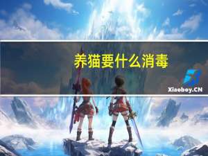 养猫要什么消毒