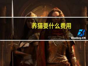 养猫要什么费用