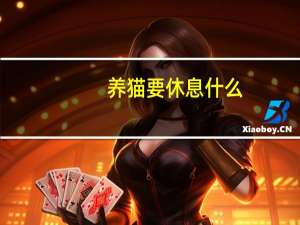 养猫要休息什么