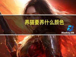 养猫要养什么颜色