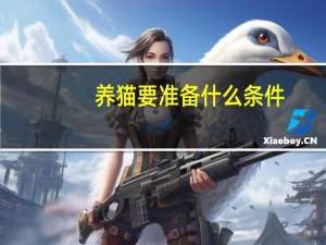 养猫要准备什么条件