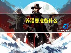 养猫要准备什么