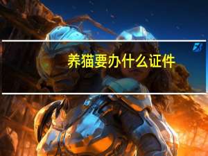 养猫要办什么证件